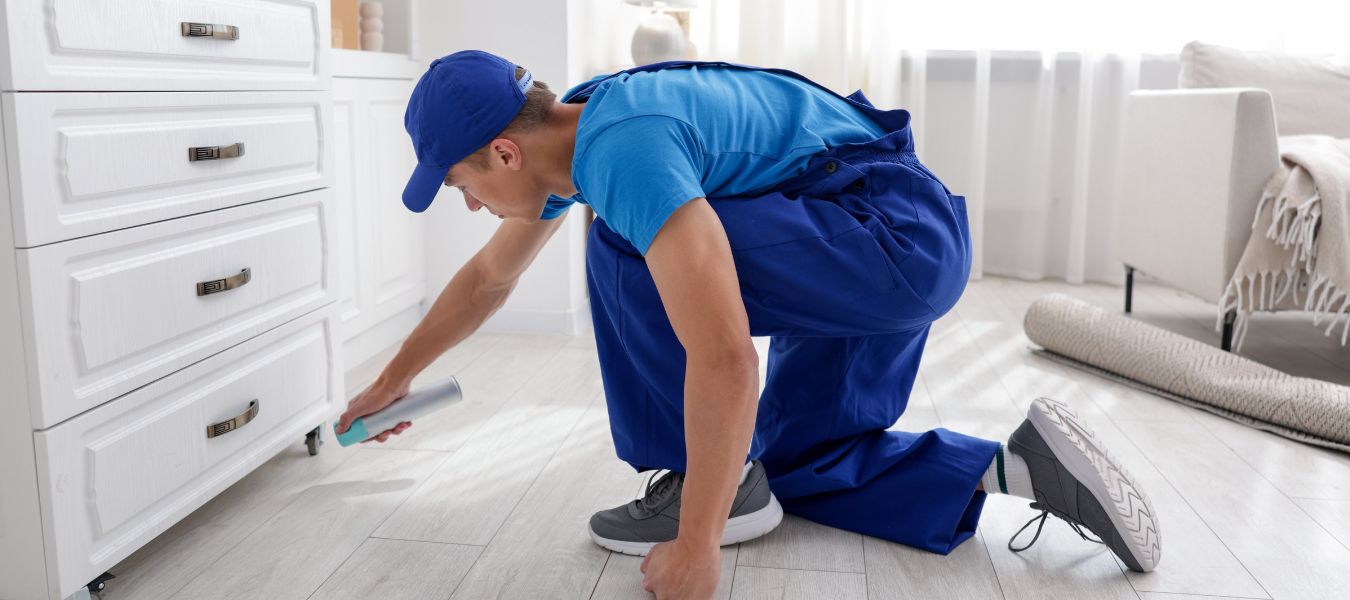 Best pest control services in Kolkata