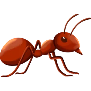 Ant Control Services in Kolkata