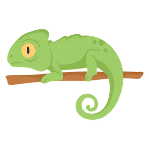 Lizard Control Services in Kolkata